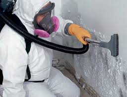 Best Residential Mold Inspection & Testing  in Bayside Gardens, OR